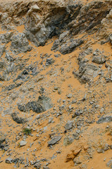 desert texture
