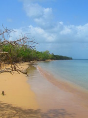 Une plage de sable blanc longe la paradisiaque mer turquoise