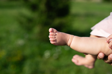 baby little chubby legs on  green background,