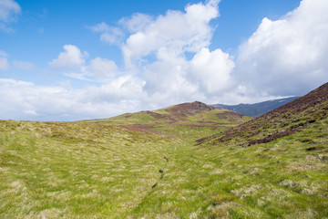 Fototapeta na wymiar Holaholar hills in Snaefellsnes national park in Iceland