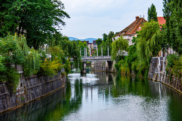 View to the bridge ove the river Ljubljanica in city of Ljubljana in Slovenia