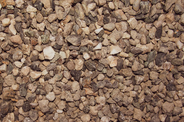 Colored pebbles on the lake shore