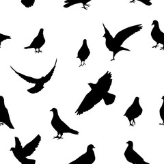 The seamless background of the pigeons. Vector illustration