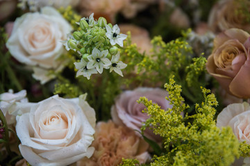 wedding bouquet of roses. Macro background