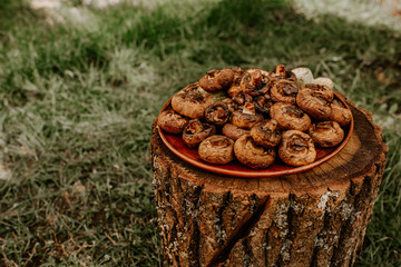 Cooked baked champignon mushrooms lie on a brown clay plate on a cracked brown hemp. Summer green blurred grass background.