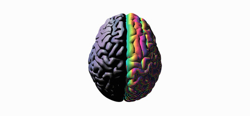Hemispheres brain separate color illustration on white BG