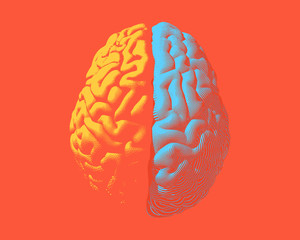Hemispheres brain separate color illustration on orange BG