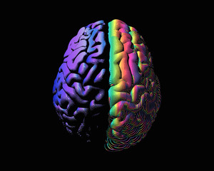 Hemispheres purple and rainbow brain on dark BG