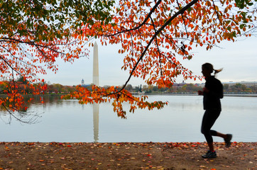 Washington Monument and autumn foliage as seen from tidal basin and a runner in motion blur - Washington D.C. United States of America