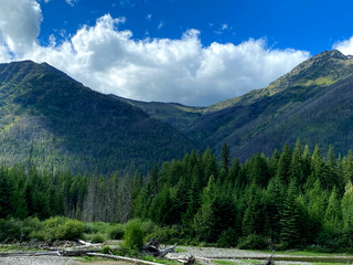 Forest mountain landscape