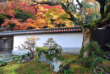 Beautiful bunch of red maple leaves over the old traditional japan house. Autumn background.