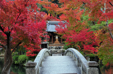 Beautiful bunch of red maple leaves over the pool and old traditional japan bridge and lantern. Autumn background.