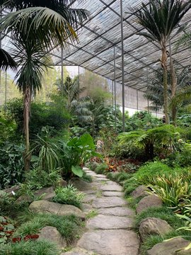 The Cold Greenhouse, Estufa Fria, is a greenhouse garden located in Parque Eduardo VII, Lisbon center, Portugal