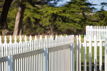 Small bird sitting on white picket fence