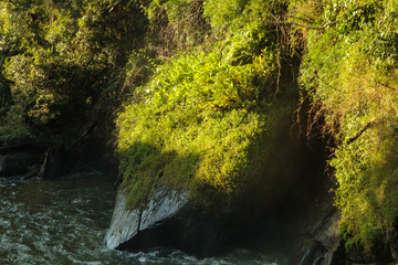 cave in the forest