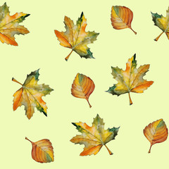 seamless pattern bright autumn leaves collection, watercolor hand drawing, white background isolated