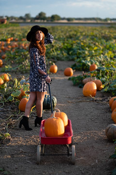 young woman with pumpkins