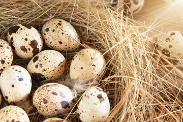 Naklejka na ściany i meble Several quail eggs in a decorative nest made of straw on a wooden table close-up