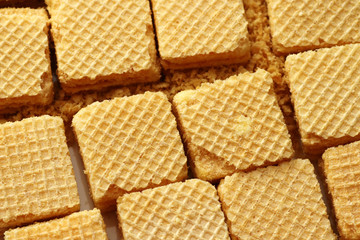 A wafer is a crisp, often sweet, very thin, flat, light and dry biscuit