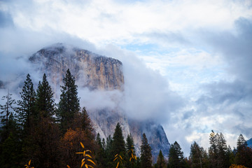 El Capitan in Yosemite surrounded by clouds