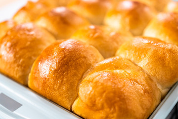 Dinner rolls