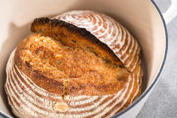 Wheat Sourdough Bread
