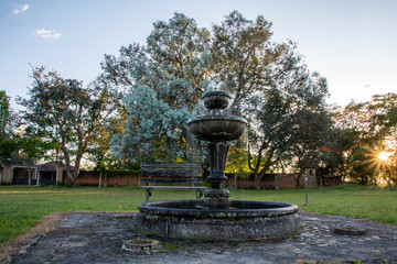 pila, fuente, atardecer con árbol de eucalipto de fondo.