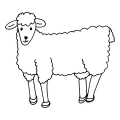 A simple sketch of a lamb, drawn in a childish doodle style.