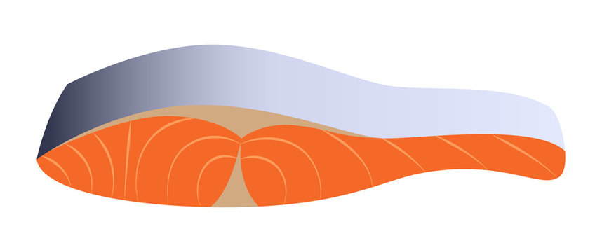 salmon fillet, orange, blue, food, fresh clip art preview