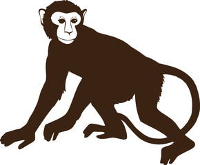 monkey icon vector illustration