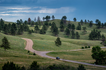 Rolling hills in Custer State Park South Dakota, with twisty roads and pine trees
