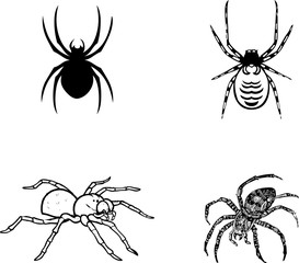 set of spider