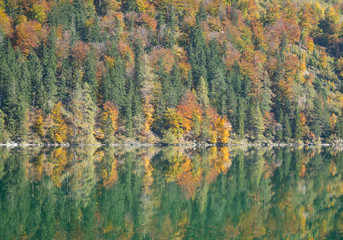 Trees and reflection in a mountain lake in autumn