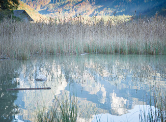 View with reflection of reeds in  the lake