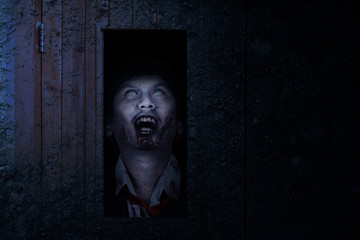 Scary zombie standing behind the door