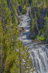 The beautiful Kepler Cascades Waterfall on the Firehole River. Southwestern Yellowstone National Park in the Rocky Mountains, Park County, Wyoming