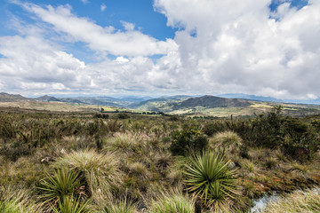 Fototapeta na wymiar Choachi, Colombia Landscape of Colombian Andean mountains showing paramo type vegetation. Park Called Paramo Matarredonda near Bogota 