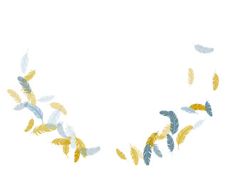 Falling feather elements soft vector design.