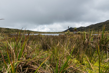 Choachi, Colombia Landscape of Colombian Andean mountains showing paramo type vegetation. Park Called Paramo Matarredonda near Bogota
