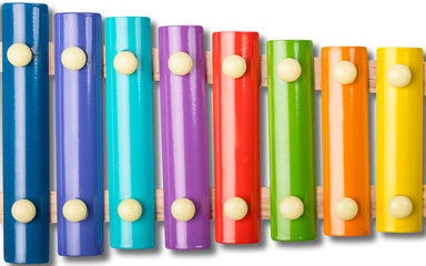 Color xylophone on white background with shadow. Rainbow colour xylophone. Colorful musical instrument for children or kids.