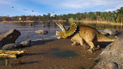 Triceratops horridus dinosaur at the ocean  © dottedyeti