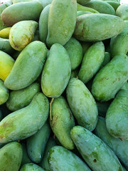 Closeup of Fresh Green Mango piles for sale in the market in Thailand.
