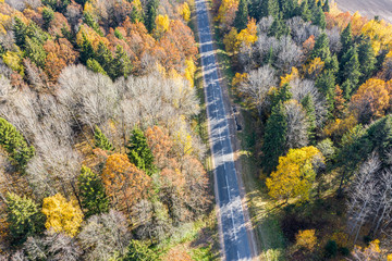 straight country road through fall forest. autumn landscape, aerial view