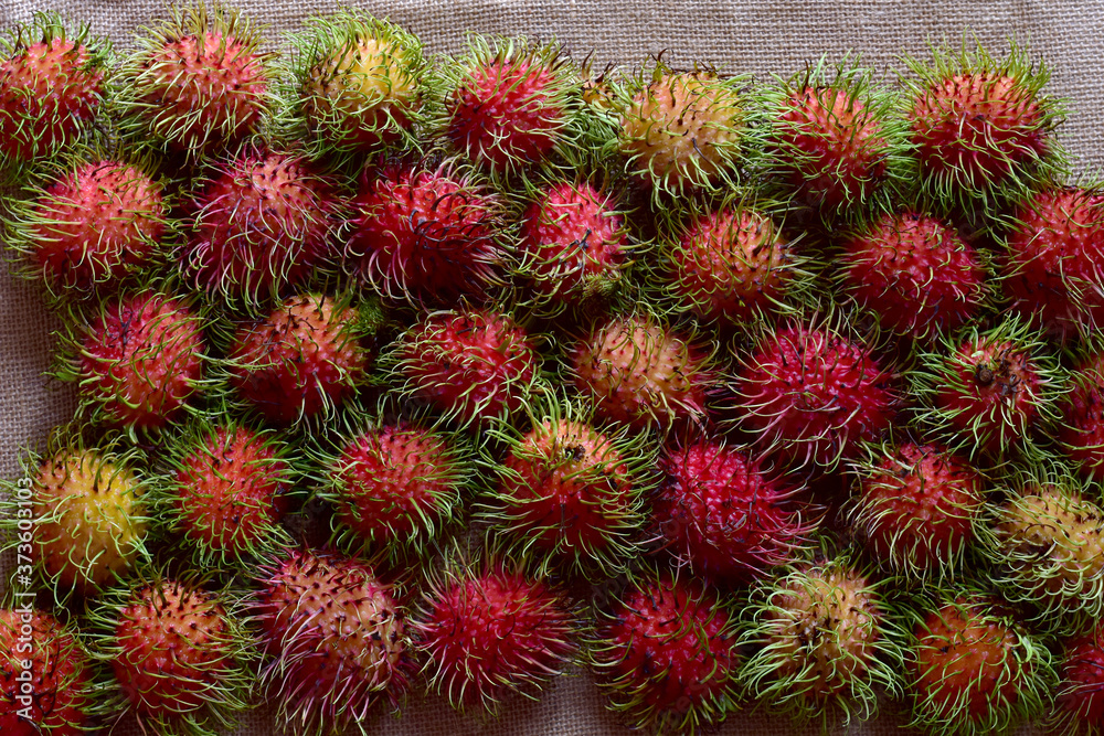 Wall mural close up of fresh ripe rambutan fruit isolated on white background. full depth of field.