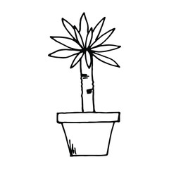 Home plant in a pot, indoor flower. Vector illustration.