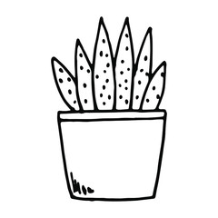 Indoor flower in a pot, home plant. Outline drawing with a black liner isolated on a white background. Vector illustration.