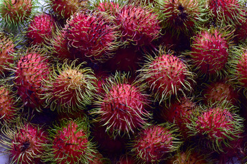 Close up of Fresh Ripe Rambutan Fruit isolated on white background. full depth of field.