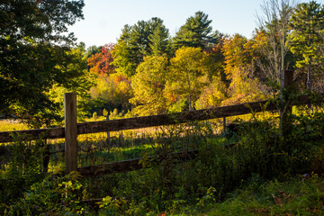 Autumn on New England by Constantine