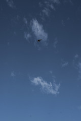 cielo