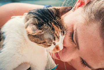 Close-up of female volunteer hugs cat in shelter. Shelter for animals concept